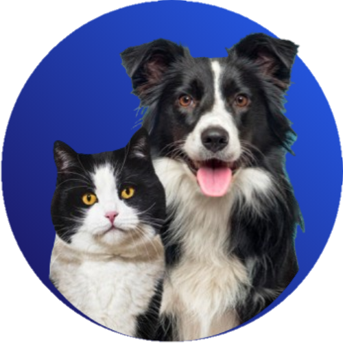 Pets