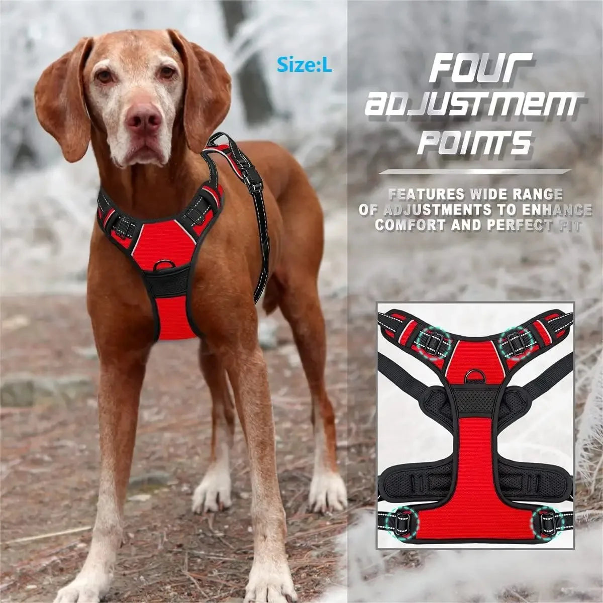 Colete para Cães