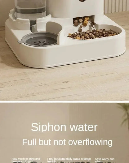 Alimentador Automático